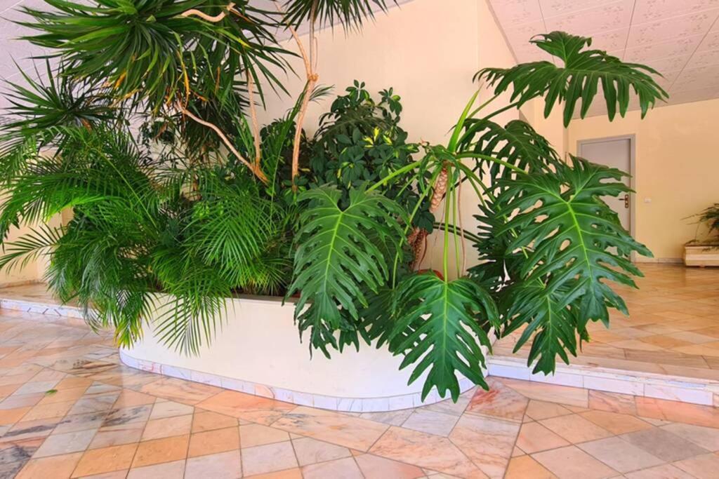 Comfort Zone Beach Apartment クアルテイラ エクステリア 写真